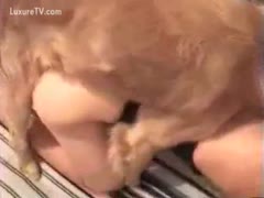 Dog cum running down this older beastiality first-timers used bawdy cleft